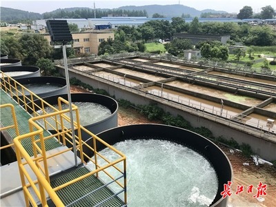 九峰明渠臨時污水處理設施高效運行，顯著削減入東湖污水量